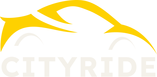 WheelChair Maxi-Taxi